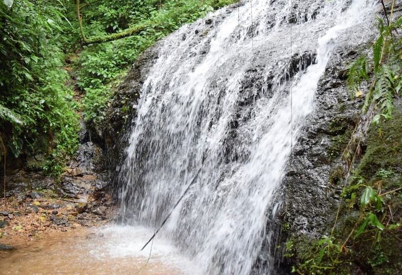 ホテル Boutique La Gloria