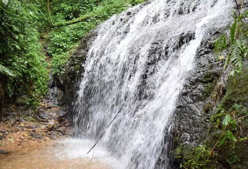 ホテル Boutique La Gloria