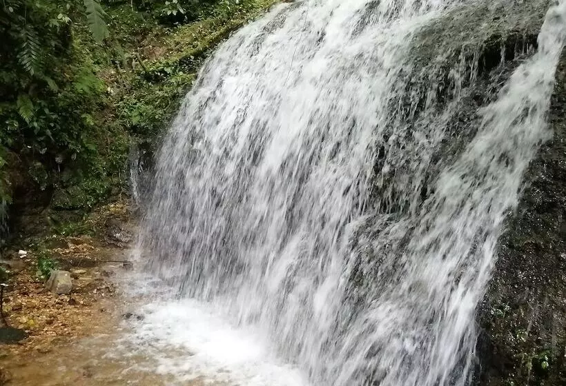 ホテル Boutique La Gloria