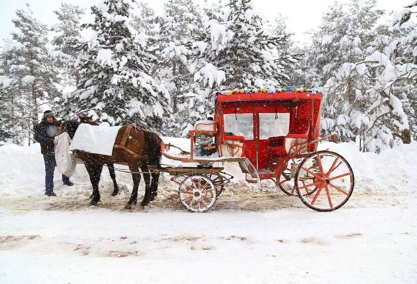 فندق Center Royal Palace