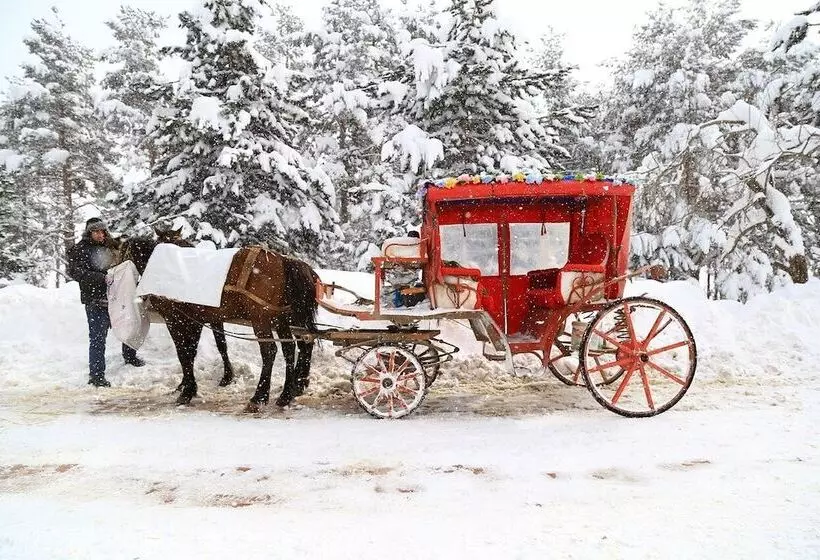 ホテル Center Royal Palace