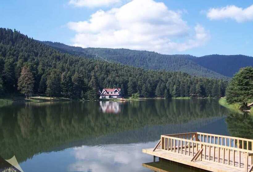 فندق Center Royal Palace