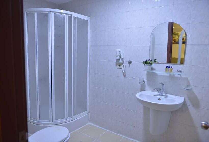 فندق Center Royal Palace