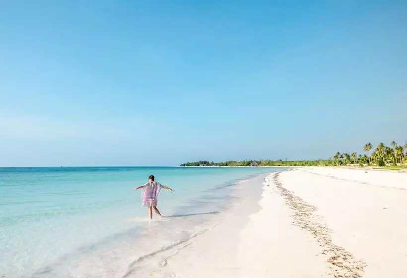 ホテル Emerald Dreams Boutique