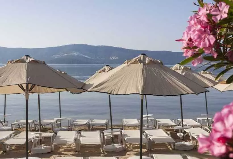 Hotelli Halal Paradise Didim