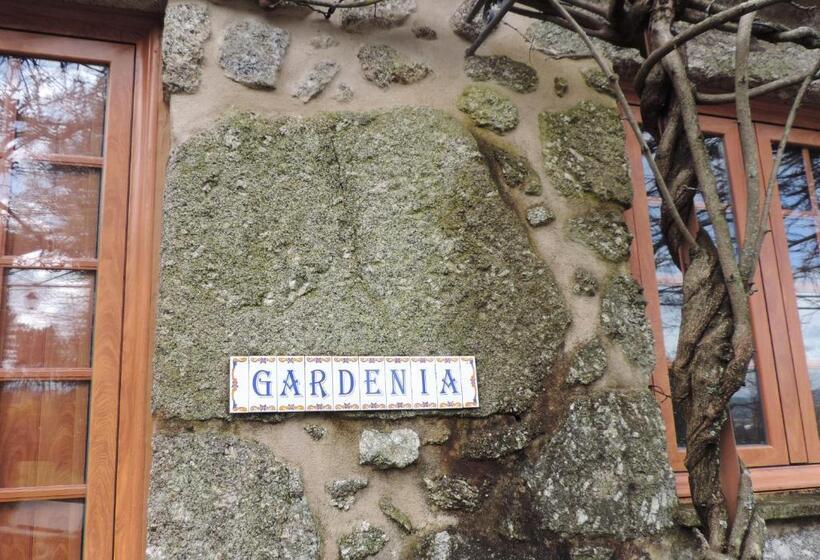 Hotel Rosa Y Gardenia   Solo Adultos