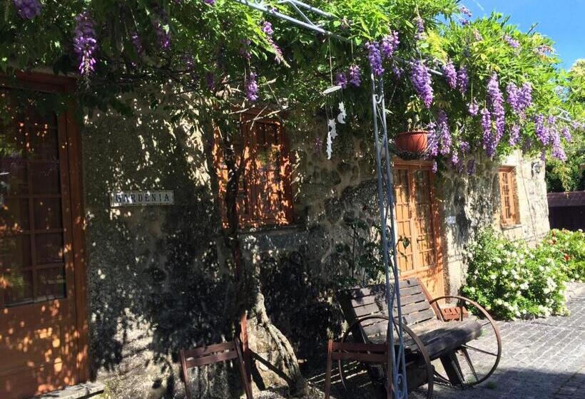 هتل Rosa Y Gardenia Solo Adultos