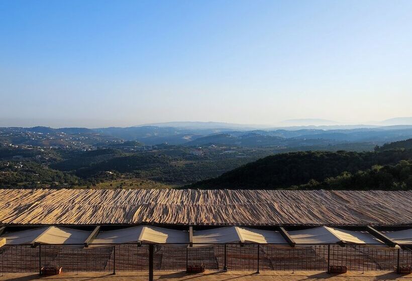 Pensió Abdelli Terraces