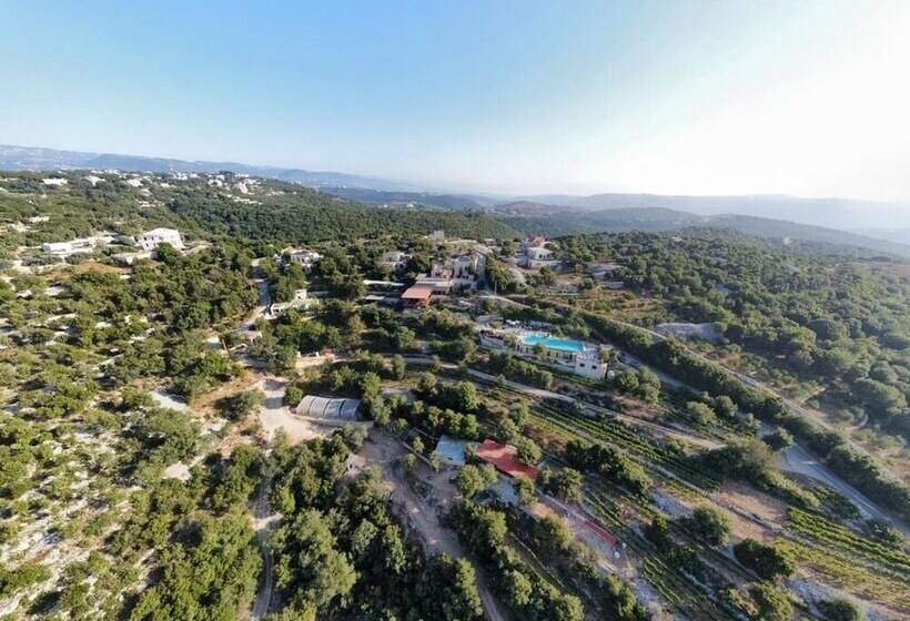 Pensió Abdelli Terraces