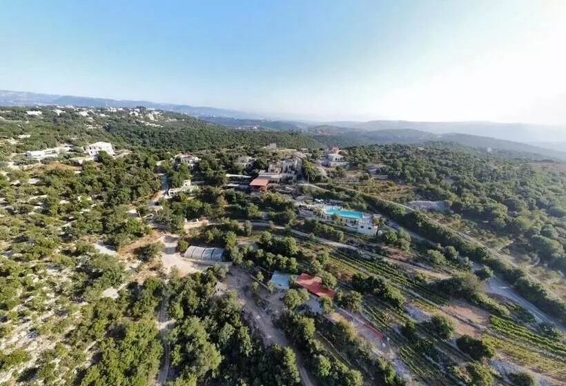 پانسیون Abdelli Terraces