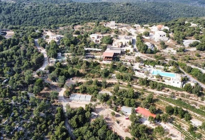 Pensió Abdelli Terraces