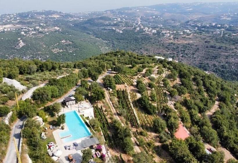 Pensió Abdelli Terraces