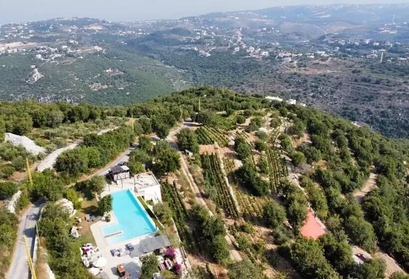 پانسیون Abdelli Terraces