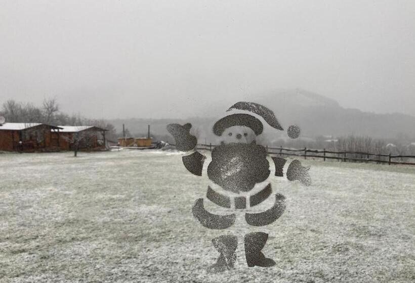 膳宿费 Bodrogeni Căsuțe