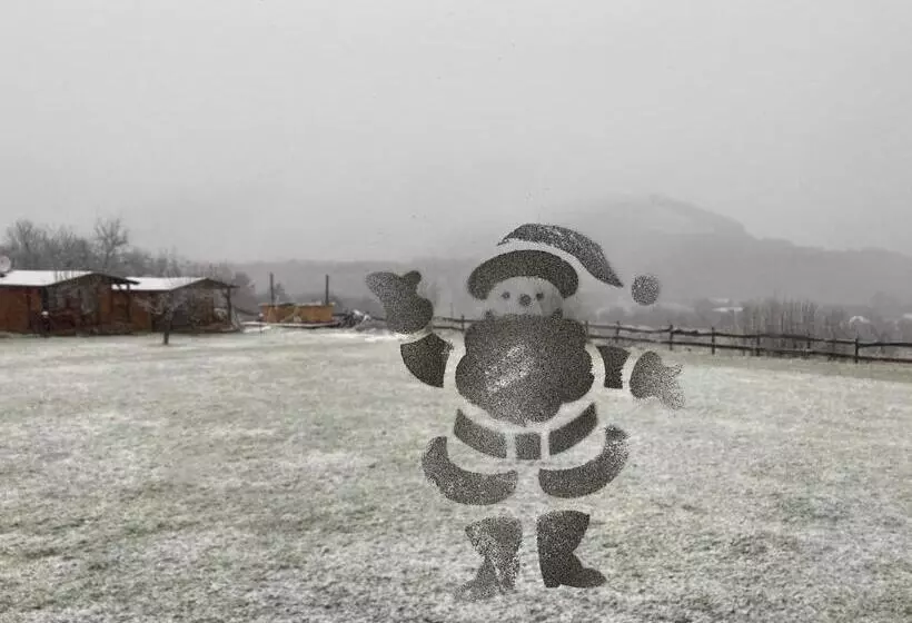 ペンション Bodrogeni Căsuțe