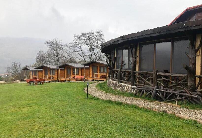 膳宿费 Bodrogeni Căsuțe