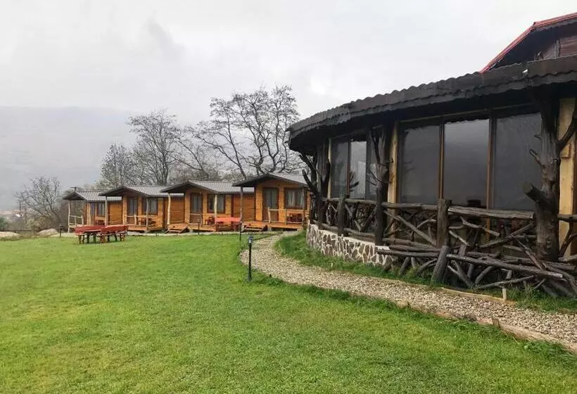 ペンション Bodrogeni Căsuțe