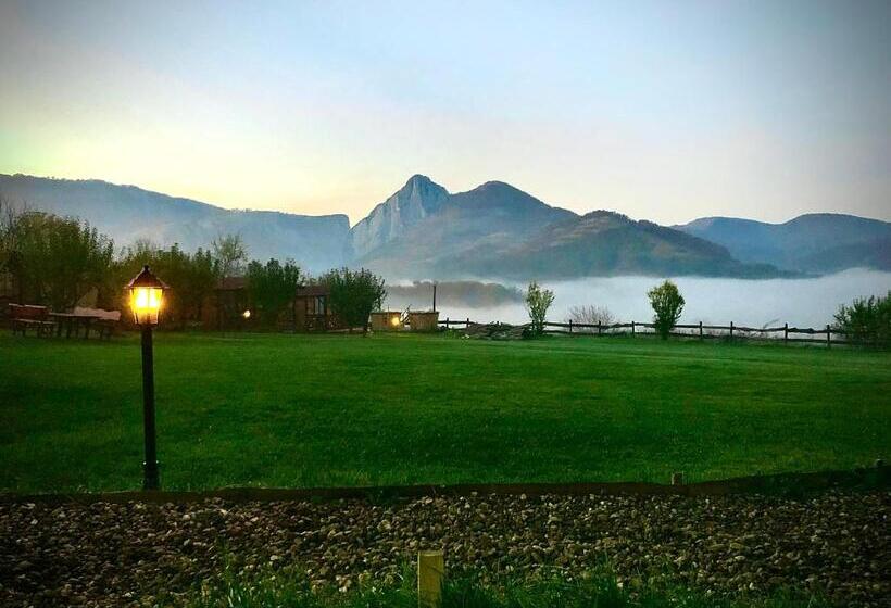 膳宿费 Bodrogeni Căsuțe