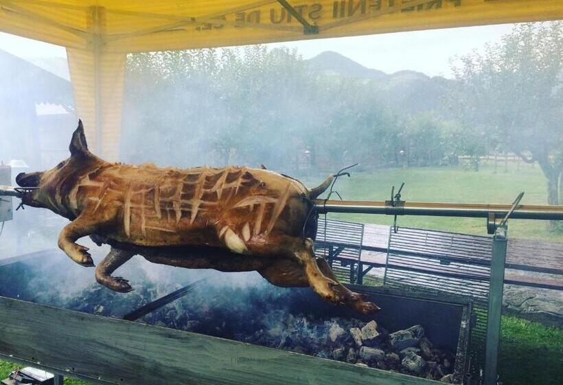 膳宿费 Bodrogeni Căsuțe