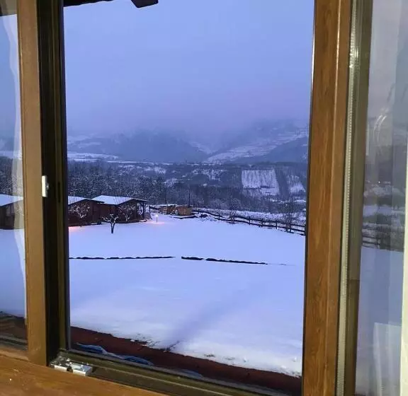 ペンション Bodrogeni Căsuțe