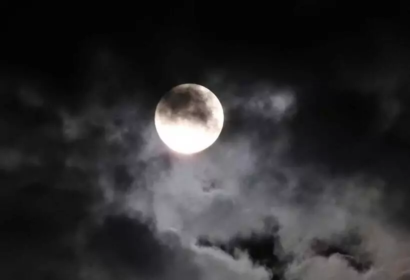 ペンション Bodrogeni Căsuțe