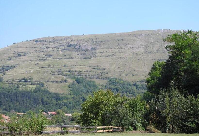 膳宿费 Bodrogeni Căsuțe