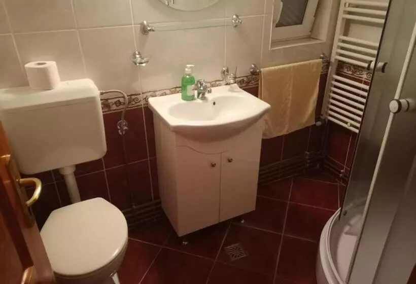 ペンション Casa Piatra Craiului