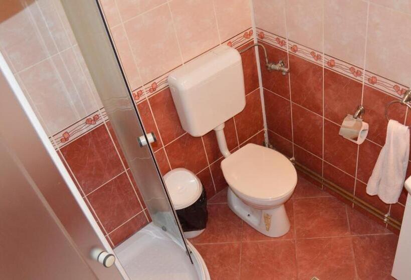 펜션 Casa Piatra Craiului