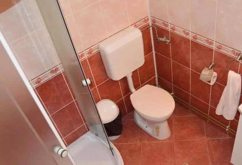 ペンション Casa Piatra Craiului