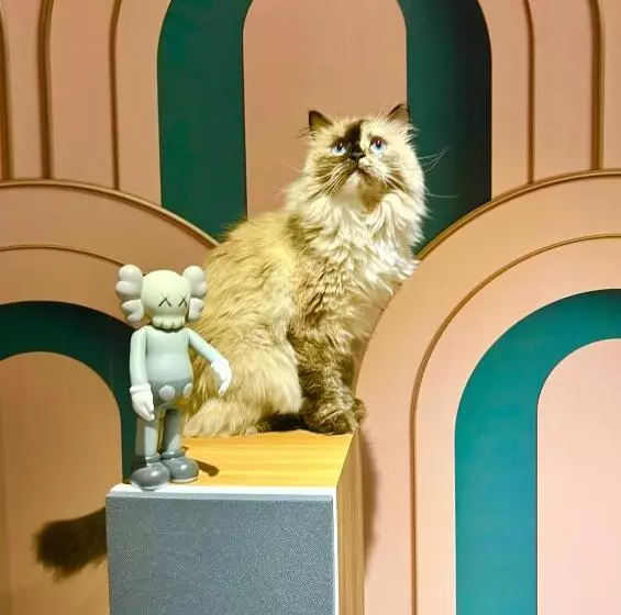 Majatalo The Waltham Private Room & Bathroom Jfk Lga 10min I 20min Manhattanpenn Station Bullet Train