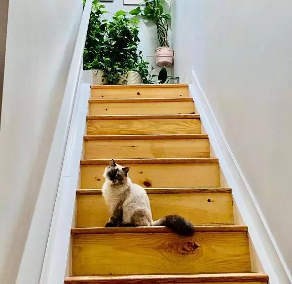 Majatalo The Waltham Private Room & Bathroom Jfk Lga 10min I 20min Manhattanpenn Station Bullet Train