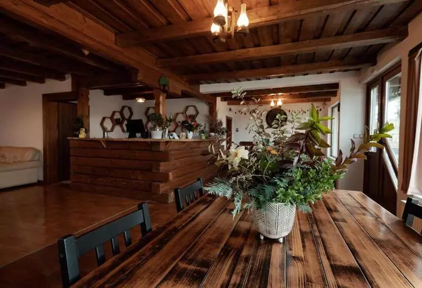 ペンション Tihuța Retreat