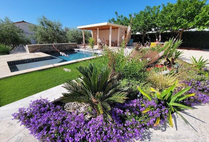 بنسيون Villa Tropez