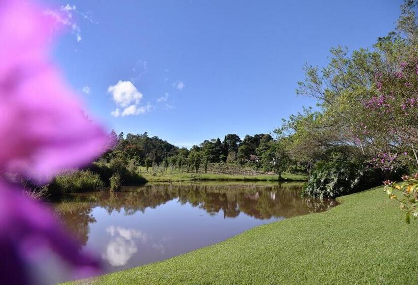 هاستل Pousada Vale Da Mata