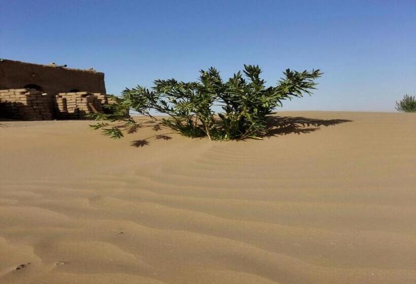 تختخواب و صبحانه Camp Iguidi Tours