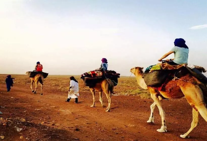 Aamiaismajoitus (B&B) Camp Iguidi Tours