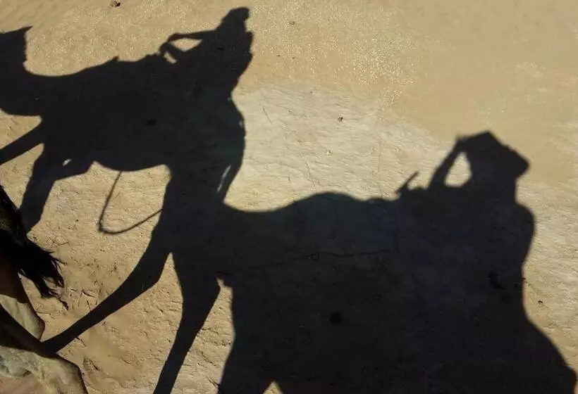 Aamiaismajoitus (B&B) Camp Iguidi Tours