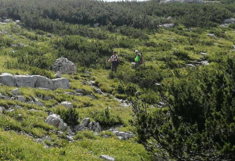 Bed And Breakfast Eckele