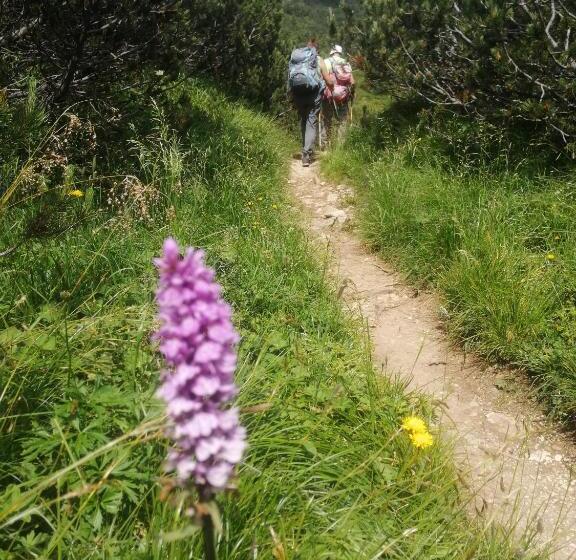 Bed And Breakfast Eckele