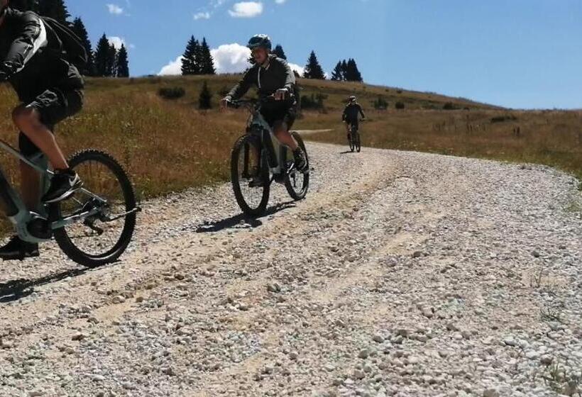 Bed And Breakfast Eckele