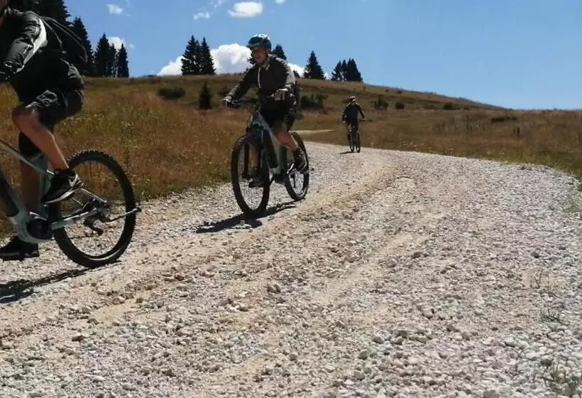 Bed And Breakfast Eckele