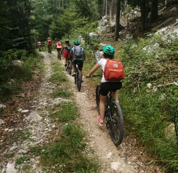 Bed And Breakfast Eckele