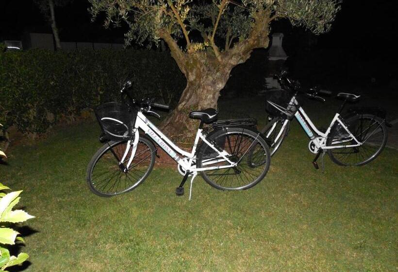 تختخواب و صبحانه Villarosa