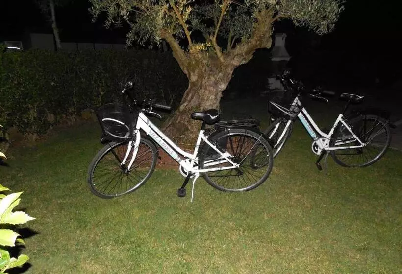 ベッドアンドブレックファースト Villarosa