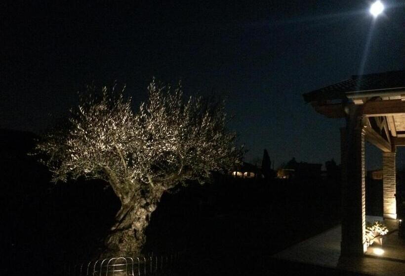 تختخواب و صبحانه Villarosa