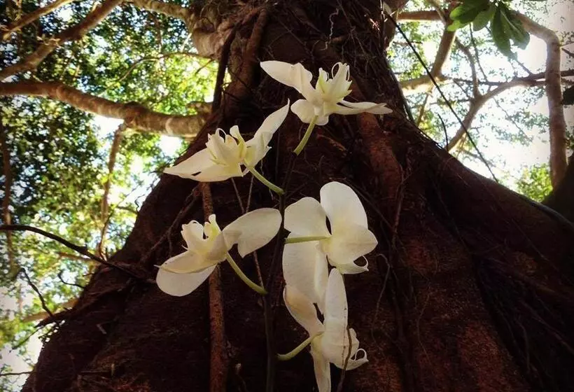 Hotelli Alua Camburi