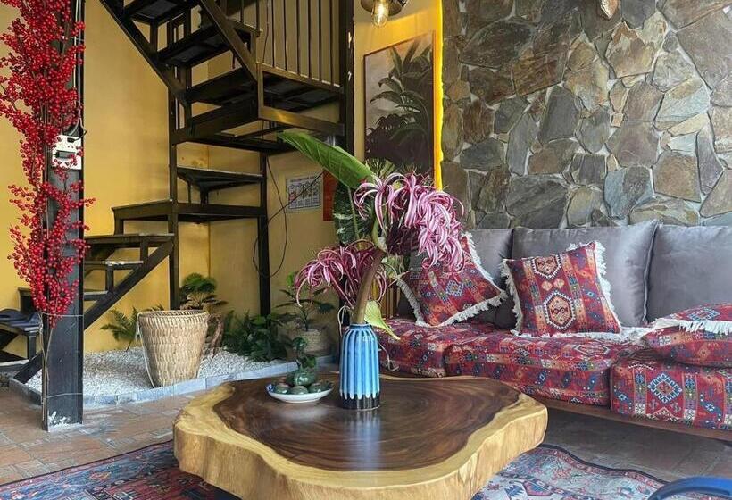 هتل کپسول Ha Giang Capsule Hostel