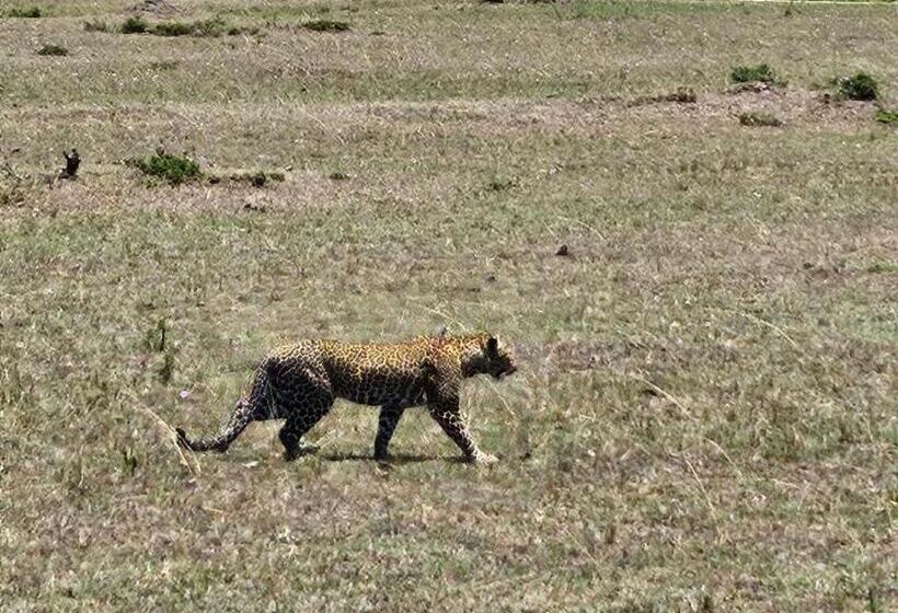 هتل Marlomani Safaris