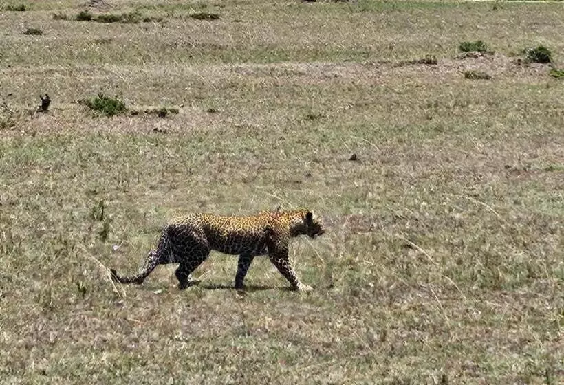 هتل Marlomani Safaris