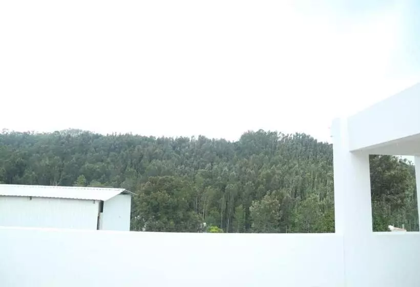 ホテル Misty Haven Retreat